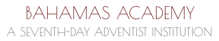 site logo